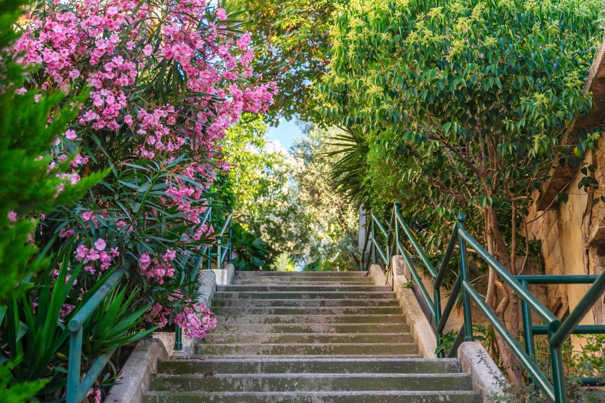 Apartment Charming 2 Bedroom With Acropolis View In
